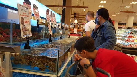 Giá tôm càng xanh giảm mạnh còn 110.000-200.000 đồng/kg