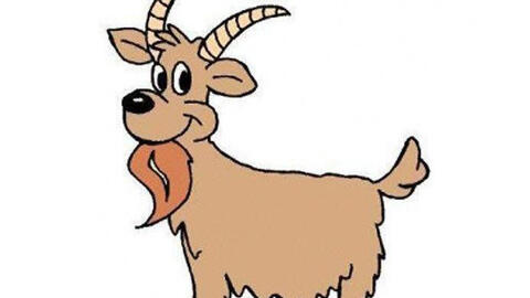 Tuổi nào hợp xông đất năm 2021 cho tuổi Ất Mùi 1955?