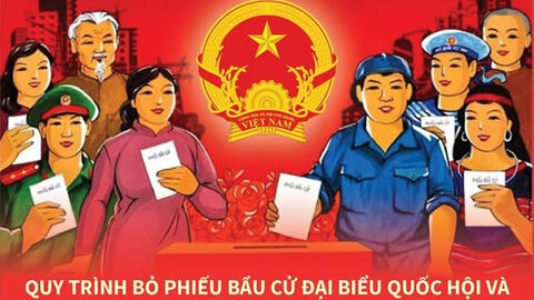 Quy trình bỏ phiếu bầu đại biểu Quốc hội