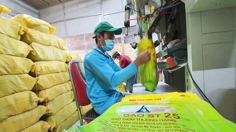 Bộ Công thương: "Nếu không sớm có động thái thì gạo ST25 có thể bị mất thương hiệu tại thị trường Mỹ"