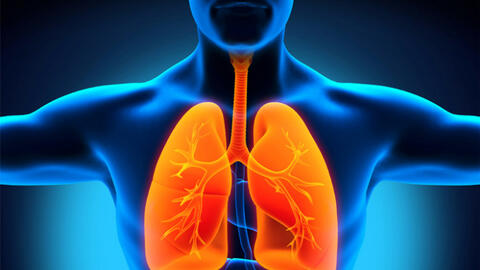 Không khí ô nhiễm, ăn gì để giải độc phổi?