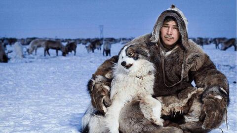 Khám phá cuộc sống của tộc "người tuyết" ở Bắc Cực: Chịu lạnh giỏi nhất thế giới, tuân thủ một nguyên tắc sinh tồn suốt hàng nghìn năm