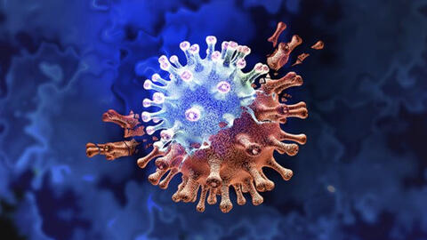 Biến chủng lai giữa Delta và Omicron nguy hiểm thế nào?