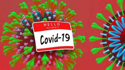 Chỉ có 4% trong 23.000 mẫu nghiên cứu phát triển kháng thể chống lại virus Covid-19