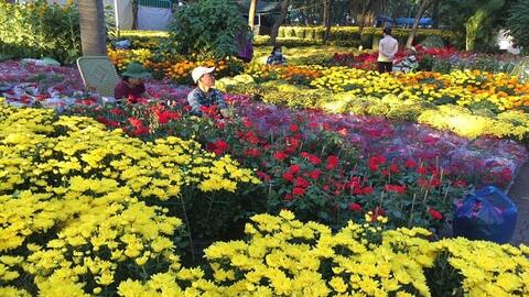 10 chợ hoa Tết hút khách nhất TP.HCM