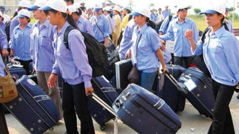 Xuất khẩu lao động cần chú ý những điều gì?