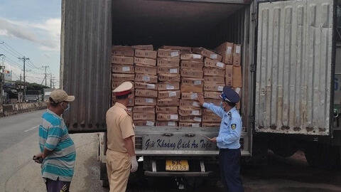 Tiền Giang thu giữ 5 tấn cá nục Trung Quốc