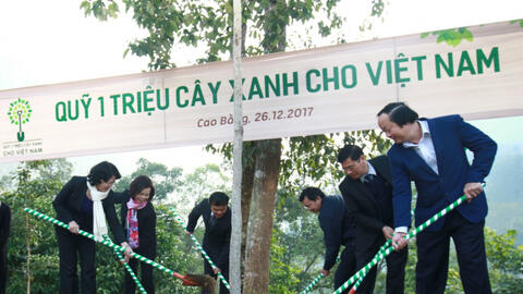 Vinamilk chung tay cùng người dân vừa trồng cây gây rừng, vừa tạo sinh kế