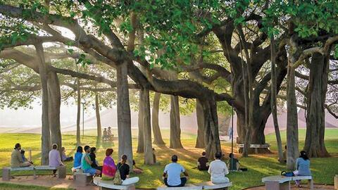 Một chuyến đến Auroville thiên đường trần thế