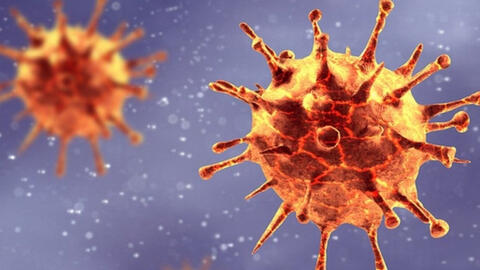 Các biến thể SARS-CoV-2 có thể được đặt tên theo các chòm sao