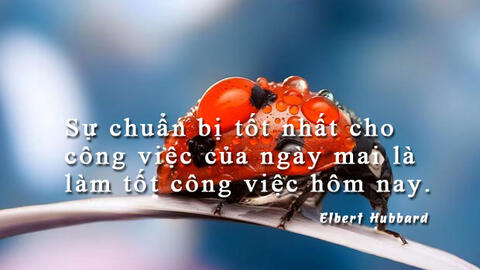 Tử vi sự nghiệp thứ 5 ngày 9/1/2020 của 12 con giáp: Dần tự tin và lạc quan, Thân vượt qua mọi thất bại