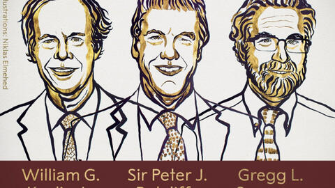 Công bố chủ nhân giải Nobel Y học 2019