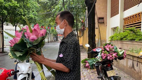 Hải Dương: Bị phạt 3 triệu và cách ly 21 ngày vì mang hoa sen vào bán tại khu vực giãn cách