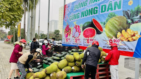 Siêu thị mang thanh long, mít ra bán ở vỉa hè