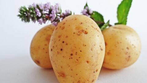 7 tác hại khi bạn ăn khoai tây mỗi ngày