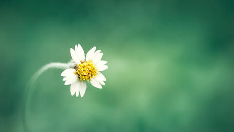 Mắc kẹt trong hạnh phúc