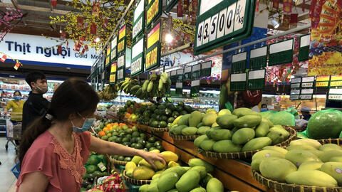 Xoài rớt giá còn 7.000- 8.000 đồng/kg