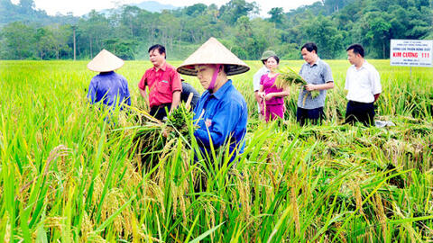 Nông nghiệp rất cần các đề tài thuộc khoa học quản lý, khoa học mang tính tổng hợp cao