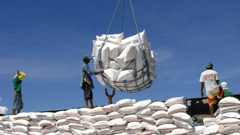 Nhập khẩu gạo Ấn Độ tăng bất thường, Bộ Công Thương kiểm tra 5 doanh nghiệp