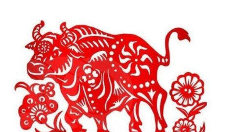 Tuổi Đinh Sửu 1997, xuất hành Tết 2021 vào giờ nào, hướng nào tốt nhất?