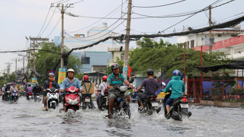 Mưa lớn ở Sài Gòn khiến cây đổ, nhà ngập nước