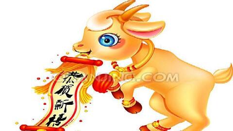 Tử vi năm 2020 tuổi Mùi: Tháng 1 tràn ngập tin tốt, tháng 2 may mắn liên tiếp