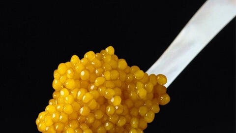 Top 10 món ăn xa xỉ nhất thế giới dành cho giới thượng lưu