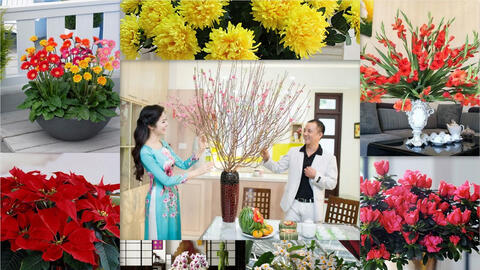 Phong thủy ngày Tết: Chưng hoa nào để hợp phong thủy năm Canh Tý 2020?