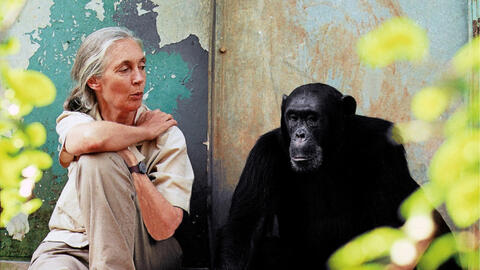 10 nhà khoa học nữ thiên tài trong lịch sử nhân loại