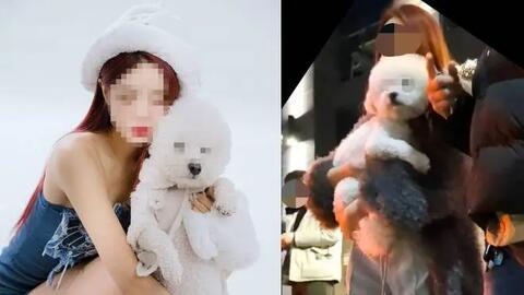 Nữ DJ nổi tiếng đâm chết người sau khi uống rượu, hành vi sau khi gây tai nạn khiến dân mạng xứ Hàn phẫn nộ tột độ