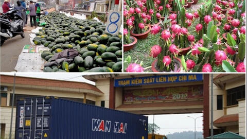 Không chuyển hàng nông sản lên biên giới Trung Quốc