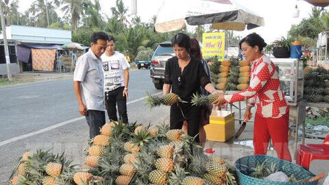 Thực phẩm ngày 3/4:  Thơm tăng giá mạnh