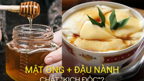 Mật ong + đậu nành tạo thành "chất kịch độc"? Điều BS phân tích sẽ khiến bạn nhận ra sai lầm từ trước đến nay