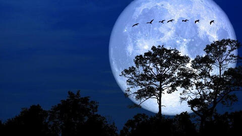 Việt Nam đón siêu trăng vào 16h ngày 13.7