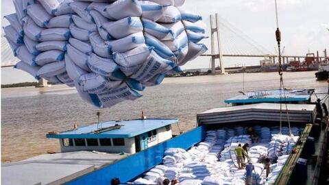 Nhiều nước hạn chế xuất khẩu lương thực trong mùa dịch COVID-19