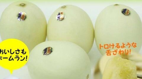 Dưa lê Nhật giá 600.000 đồng/kg có gì đặc biệt?