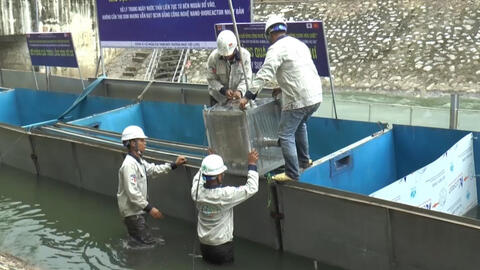 Công ty Nhật Bản đã từ bỏ vụ xử lý ô nhiễm sông Tô Lịch?