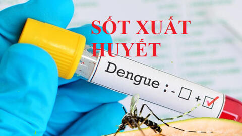 Tổ chức Y tế Thế giới khuyến cáo biện pháp phòng bệnh sốt xuất huyết