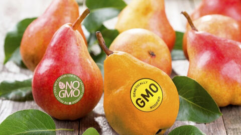 Nhận biết thực phẩm biến đổi gene