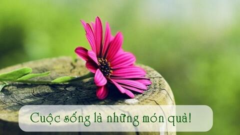 Lời dạy của cổ nhân khiến người trẻ phải suy ngẫm