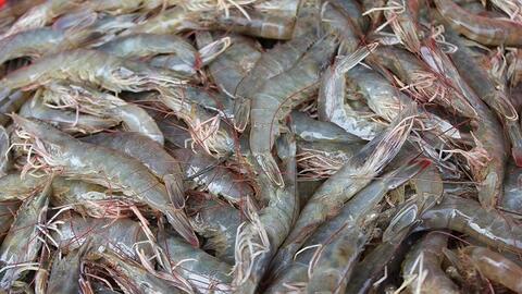 Giá thực phẩm ngày 14/7: Tôm thẻ 180.000 đồng/kg