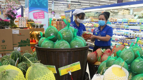 Bưởi Tân Triều lao dốc còn 10.000-12.000 đồng/trái