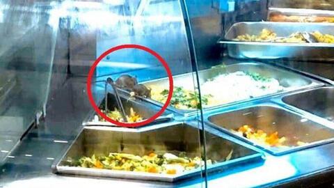 Aeon Việt Nam lên tiếng xin lỗi vụ việc chuột bò trên khay thức ăn