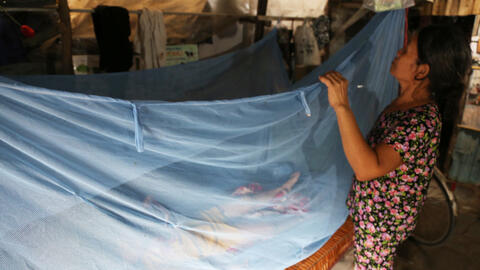 Dịch sốt xuất huyết bùng phát mạnh, người dân TP HCM vất vả chống muỗi