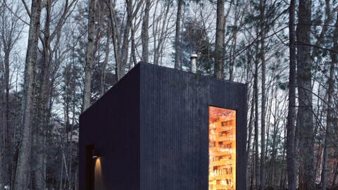 Người đàn ông xây "căn phòng bí mật" chứa đầy sách giữa rừng