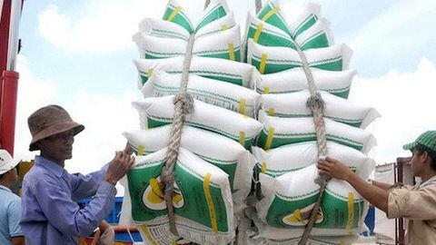 Giá lúa gạo trong nước tăng đồng loạt