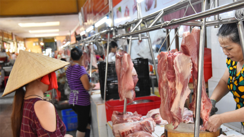 Lượng heo về chợ đầu mối TP.HCM giảm gần một nửa