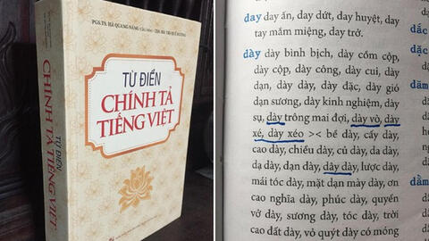 Từ điển chính tả Việt Nam của NXB Đại học Quốc gia Hà Nội sai chính tả