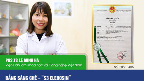 Điều chế thuốc ho thảo dược từ rẻ quạt và sâm đại hành – giải pháp an toàn, hiệu quả cho bệnh lý đường hô hấp