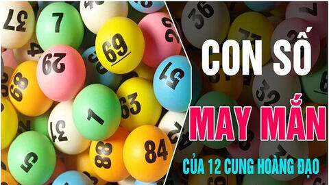 Tử vi năm 2022: Con số may mắn và hỗ trợ cho sự thành công của 12 cung hoàng đạo